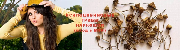 а пвп мука Аркадак