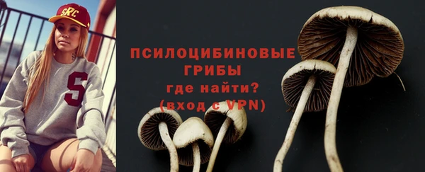 а пвп мука Аркадак