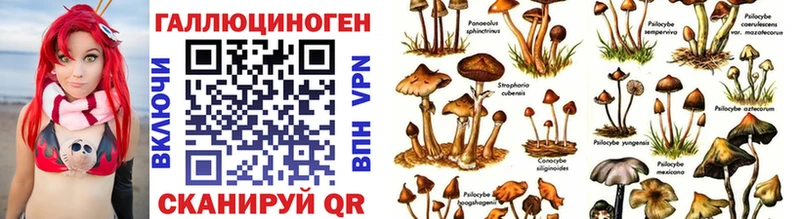 даркнет сайт  Куровское  Псилоцибиновые грибы мухоморы 